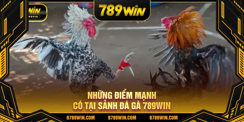 Những điểm mạnh có tại sảnh đá gà 789WIN