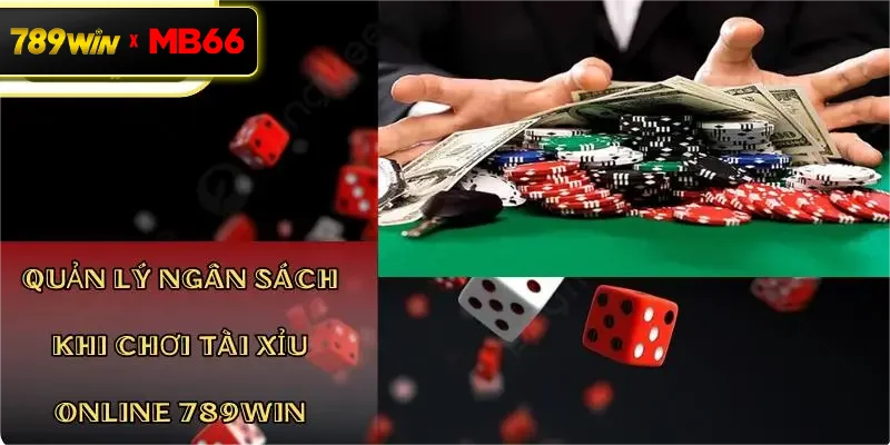 Quản lý ngân sách khi chơi Tài Xỉu Online 789Win